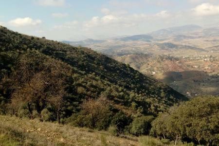 Casa Cuatro Vientos - Barranco Del Sol Villa Almogia Ngoại thất bức ảnh